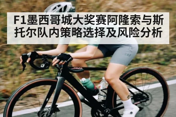 F1墨西哥城大奖赛阿隆索与斯托尔队内策略选择及风险分析